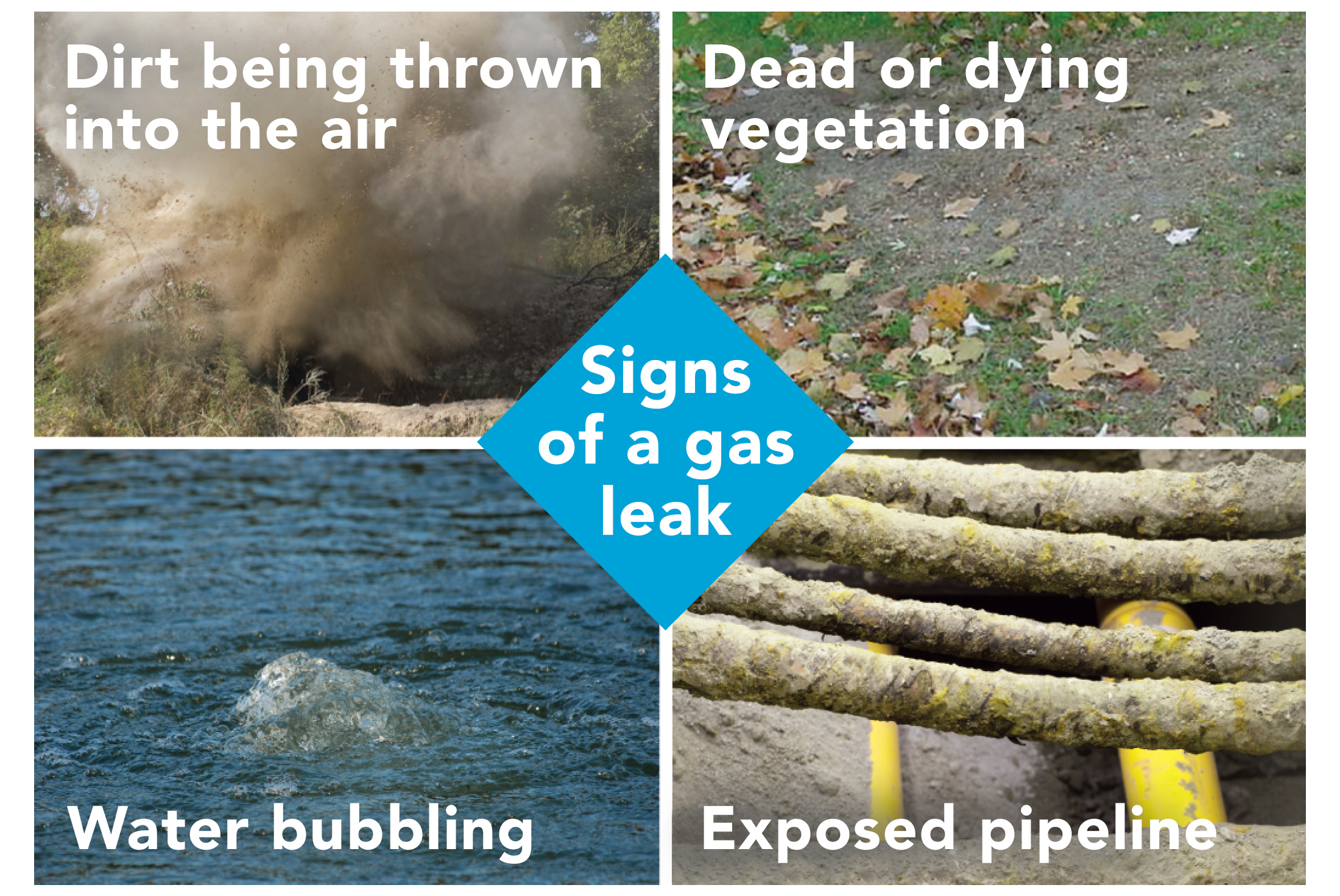 Signs of a gas leak